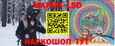 spice Бердск
