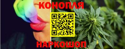 шишки Белореченск