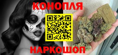 spice Бердск