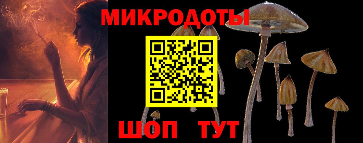 Губаха  Псилоцибиновые грибы Magic Shrooms  Вход с VPN 